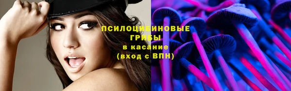 ешки Ладушкин