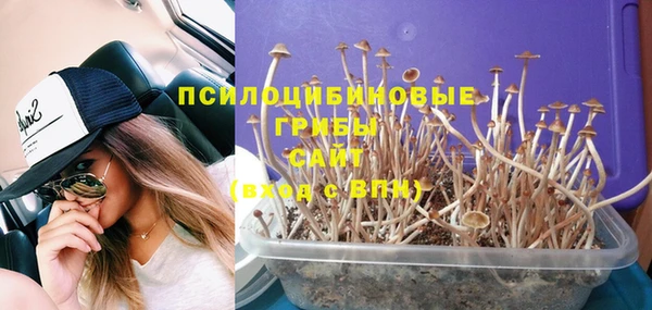 ешки Ладушкин