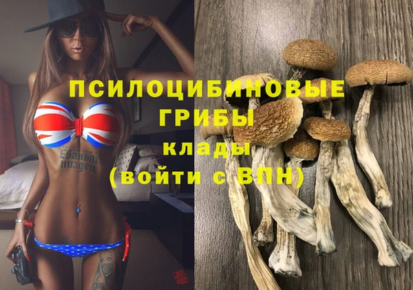 ешки Ладушкин