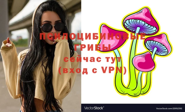 скорость Лагань