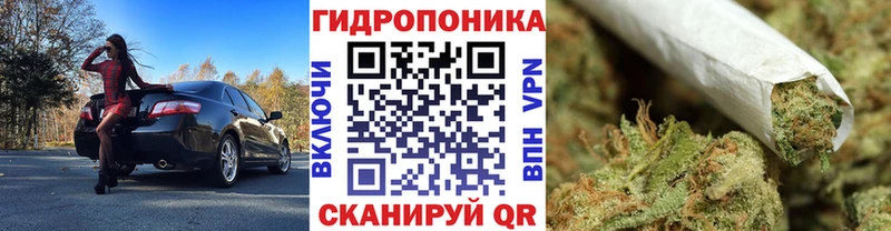 Бошки марихуана семена  цена наркотик  Прохладный 